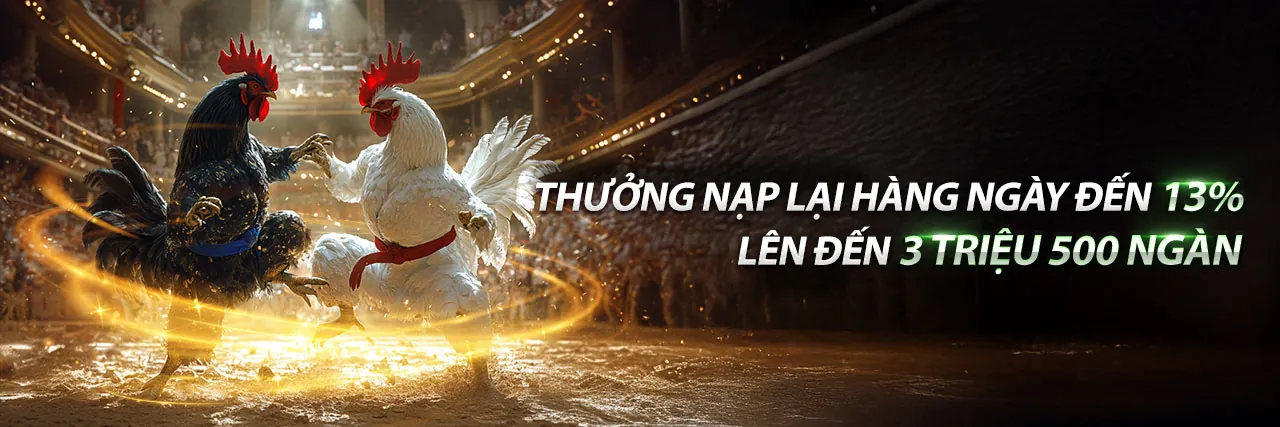 Blog chính thức 77win với tin tức cá cược và hướng dẫn chuyên sâu